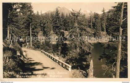 Juneau Alaska Glacier Highway Landschaftspanorama Wald Berge Natur