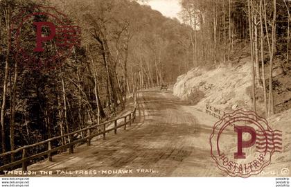 EEUU // USA. THROUGH THE TALL TREES MOHAWK TRAIL. - REAL PHOTO
