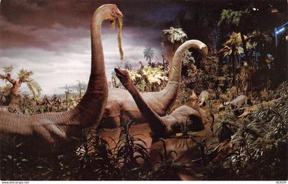 USA ANAHEIM DISNEYLAND Anaheim, CA 92802, États-Unis primeval world (Scan R/V) N° 9 \MR8058