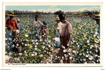 Etats Unis - Picking Coton