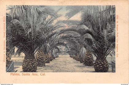 A674 US California Santa Ana Palms vintage postcard