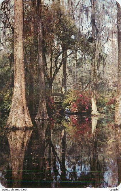 CPA Cypress Gardens Charleston SC