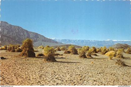 Lot379 usa death valley national monument california