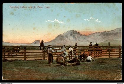Branding Calves Near El Paso