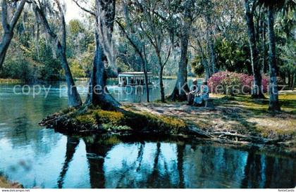 Silver Springs Florida Silver River