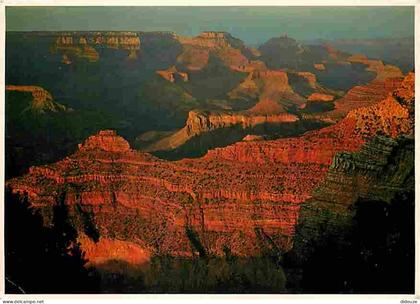 Carte Postale - Etats Unis - Grand Canyon - Grand Canyon National Park - The Sunset Depens the Red and Orange Color in t