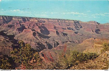 CPM Grand Canyon Arizona Hopi Point