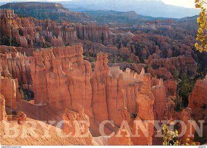 CPM Queen's Garden Bryce  Canyon National Park Utah