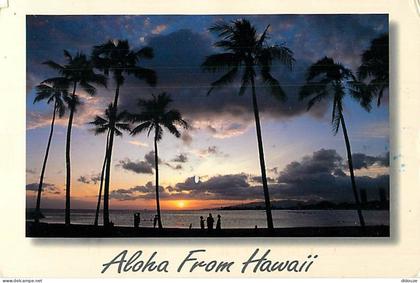 Carte Postale - Etats Unis - Hawaï - Aloha from Hawaï - Etat de Hawaï - Hawaï State - CPM - Voir Timbre - Voir Scans Rec