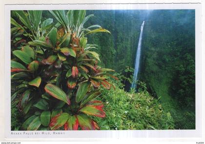 AK 247551 USA - Akaka Falls bei Hilo