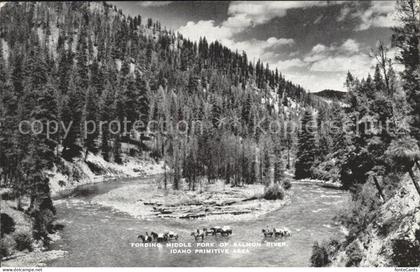 Idaho US-State Salmon River