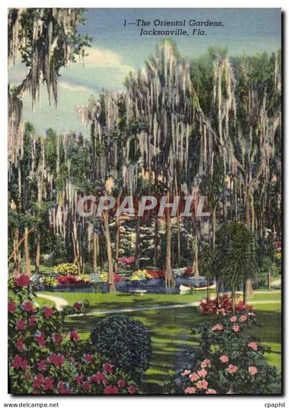 CPA The Oriental Gardens Jacksonville Fla