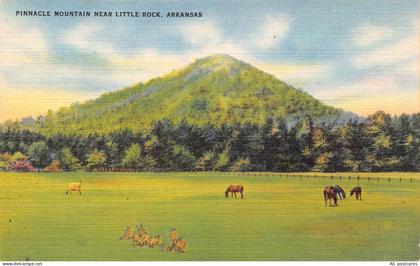 B516 US Pinnacle Mountain near Little Rock Arkansas vintage postcard