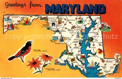 Maryland Line Panoramakarte