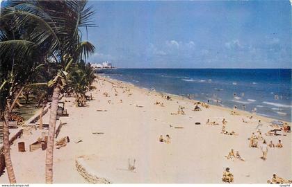 CPA Miami Beach Florida