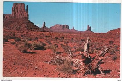 AK 253230 USA - Monument Valley
