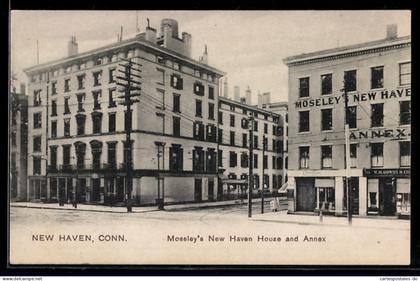 AK New Haven, CT, Moseley`s New Haven House and Annex