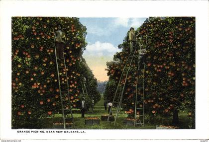 CPA Orange Picking New New Orleans La The Elk's mausoleum Greenwood Cemetery