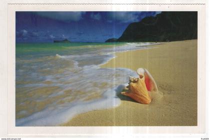 AK 247552 USA - Oahu - Waimanalo Beach Park