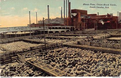 Usa - SOUTH OMAHA (NE) Sheep Pens, Union Stock Yards
