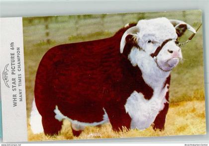 10359086 - Cheyenne WY