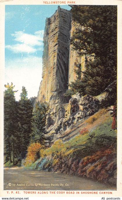 B359 US Towers Along Cody Road in Shoshone Canyon vintage postcard