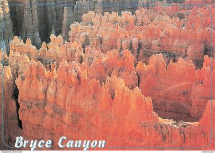 ETATS UNIS BRYCE CANYON PARC NATIONAL BRYCE CANYON