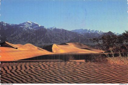 ETATS UNIS DEATH VALLEY DEATH VALLEY NATIONAL MONUMENT