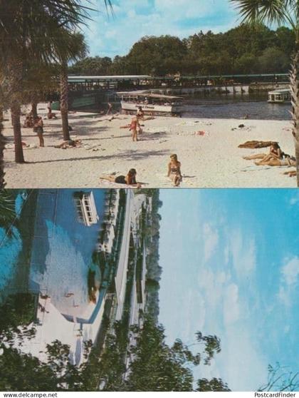 Florida Silver Springs 2x Postcard
