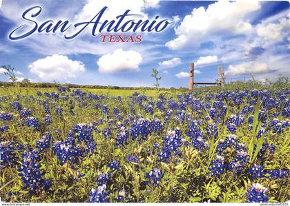 US10 USA TX San Antonio Texas 2020