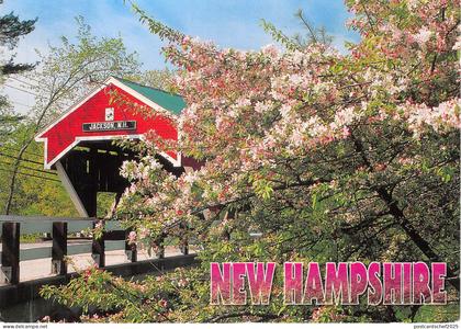 US8 USA New Hampshire Jackson 2006 Jackson covered bridge