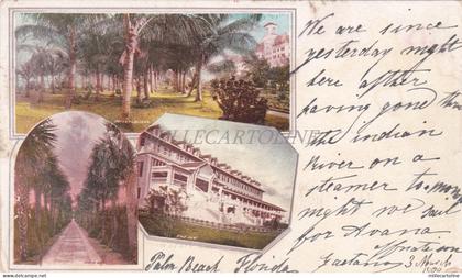 FLORIDA - Palm Beach, Views, Postcard 1900