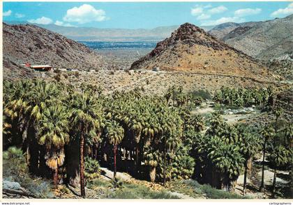 A5456 USA Palm Springs CA Palm Canyon