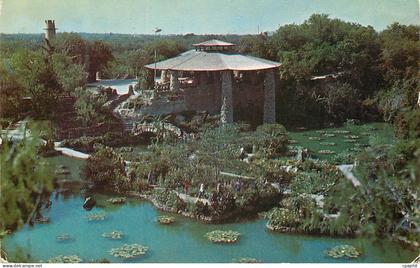 CPA Texas Brackenridge Park San Antonio