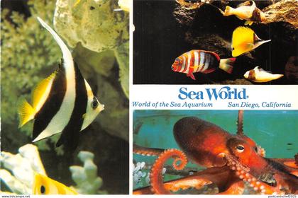 lot398 sea world san diego california