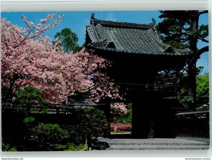 40132676 - San Francisco