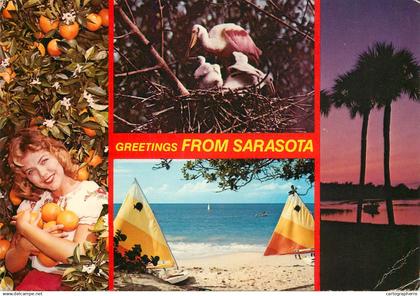 USA Sarasota FL several aspects