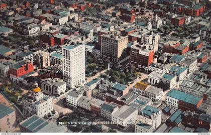 A969 US Bird's Eye view of Busoness Section Savannah Georgia vintage postcard