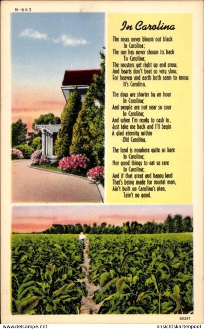 CPA South Carolina USA, in Carolina, Plantage, Tabakfeld, Gedicht