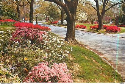 CPM South Carolina in The Spring