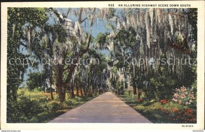 Summerville South Carolina Alluring Highway Scene down South