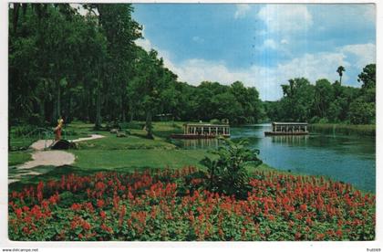 AK 227098 USA - Florida - Silver Springs - Glass Bottom Boats