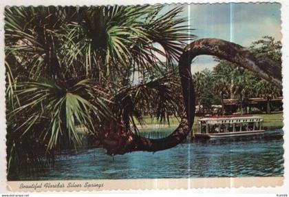 AK 258097 USA - Silver Springs - Glass Bottom Boats