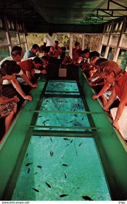 Silver Springs - Home of Word Famous Glass Bottom Boats