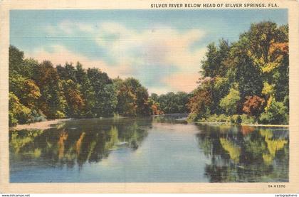 Silver Springs river scenic linen postcard