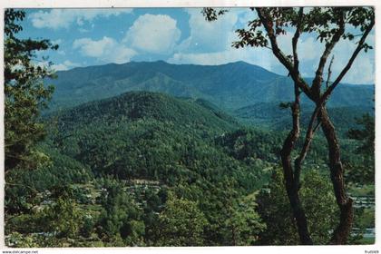 AK 237012 USA - Tennessee - Mt. LeConte - Great Smoky Mountains National Park