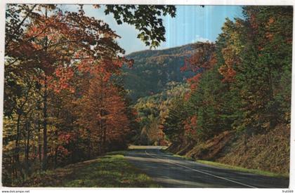 AK 253296 USA - Smokey Mountains National Park - Highway 441