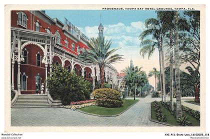 AYIP11-0918-ETATS-UNIS - TAMPA - Promenade - Tampa bay hotel grounds