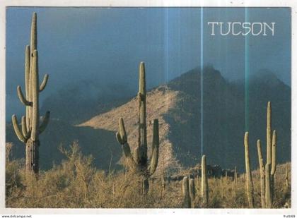 AK 258446 USA - Tucson