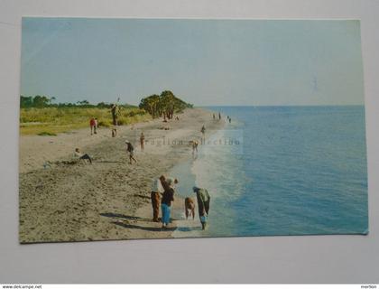 D178242    VENICE - Beautiful Venice Beach   - Florida